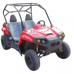 150 fianco a fianco utv